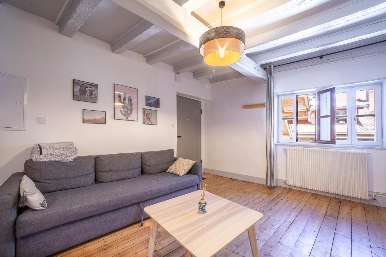 Bel Appartement, 2 Chambres, Annecy Coeur De Ville Exterior foto